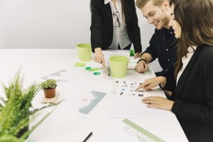 Cannabis Startup