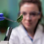 Cannabis Compliance Consultant